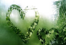 蓝调华尔兹风夜昕-开云平台